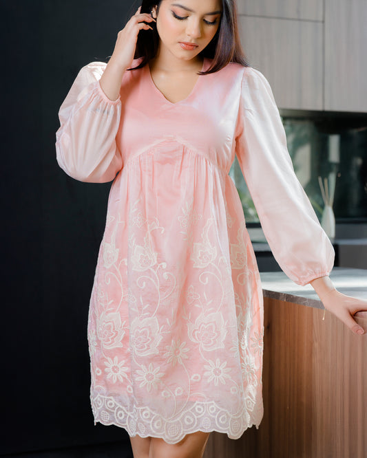 Embroider Detail Long Sleeve Dress
