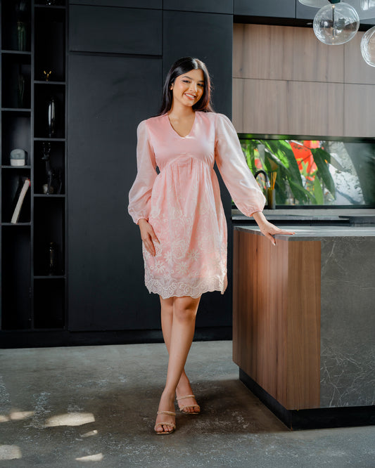 Embroider Detail Long Sleeve Dress