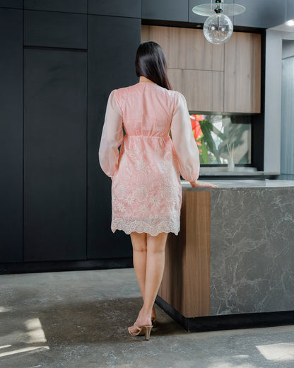 Embroider Detail Long Sleeve Dress